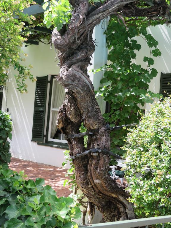 Buiten Verwagten Guest House Graaff-Reinet Buitenkant foto